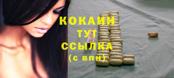 молекула духа Белокуриха