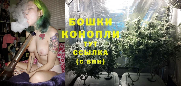 молекула духа Белокуриха