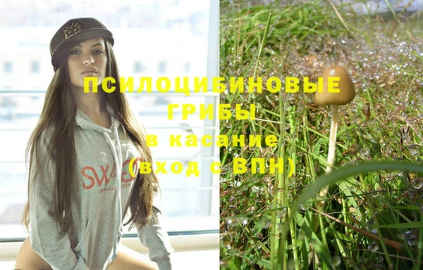 молекула духа Белокуриха