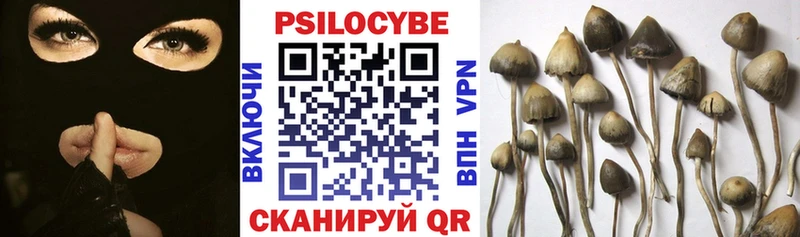 Псилоцибиновые грибы мухоморы кракен как войти Улан-Удэ